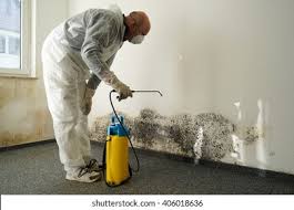 Best Mold Removal for HVAC Installations  in Camden, AL